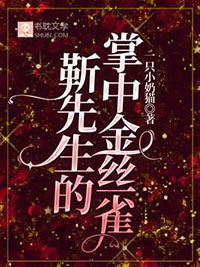 靳先生的掌中金絲雀小说封面
